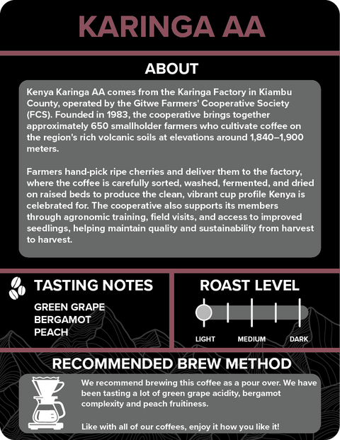 Kenya - Karinga AA