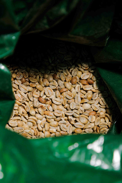 El Salvador - Loma La Gloria Red Bourbon Black Honey - Rothrock Coffee