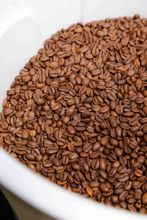 El Salvador - Loma La Gloria Red Bourbon Black Honey - Rothrock Coffee