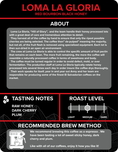 El Salvador - Loma La Gloria Red Bourbon Black Honey - Rothrock Coffee