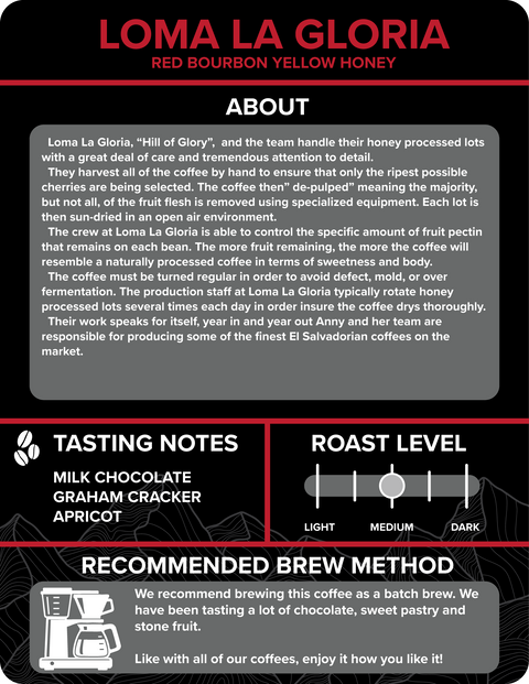 El Salvador - Loma La Gloria Red Bourbon Yellow Honey