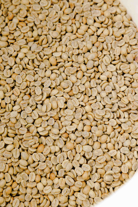 Costa Rica - La Esmeralda - Rothrock Coffee