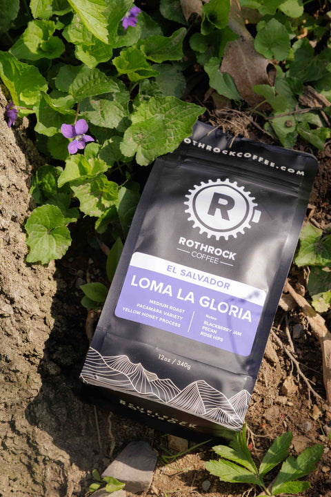 Mothers Day Bundle - Rothrock Coffee