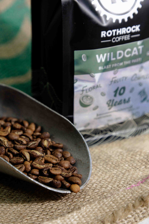 Wildcat: 10 Year Anniversary Edition!