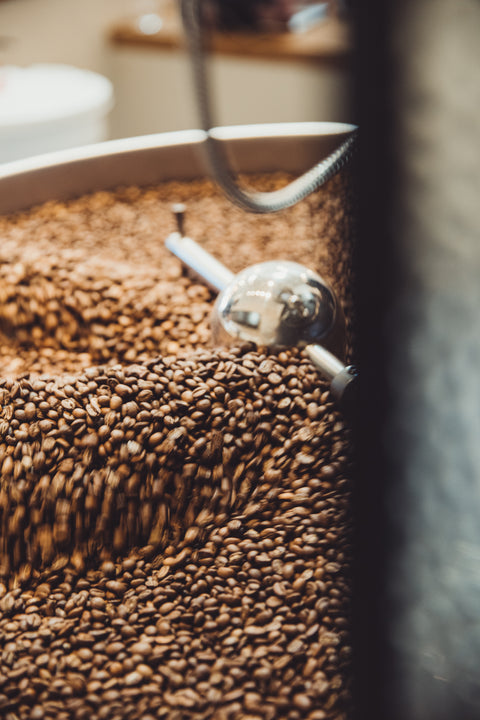 Wholesale Coffee