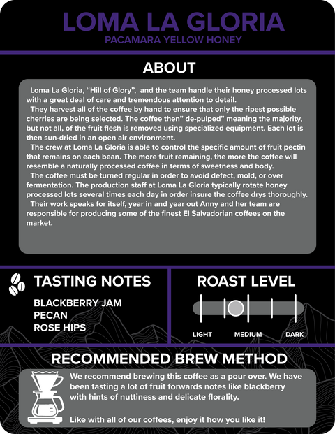 EL SALVADOR: Loma La Gloria Pacamara Yellow Honey - Rothrock Coffee 