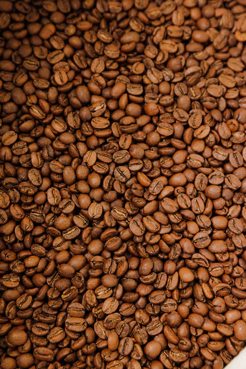Costa Rica - La Esmeralda - Rothrock Coffee 