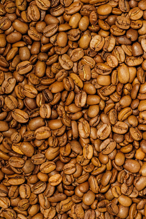 El Salvador - Loma La Gloria Pacamara Yellow Honey - Rothrock Coffee 