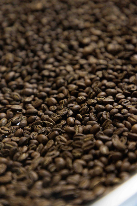 Peru - Nuevo Chirimoto - Rothrock Coffee 