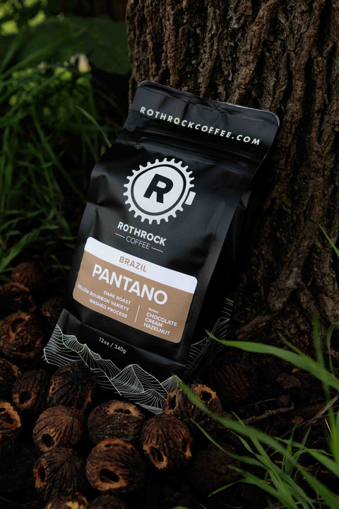 Brazil - Pantano - Rothrock Coffee 