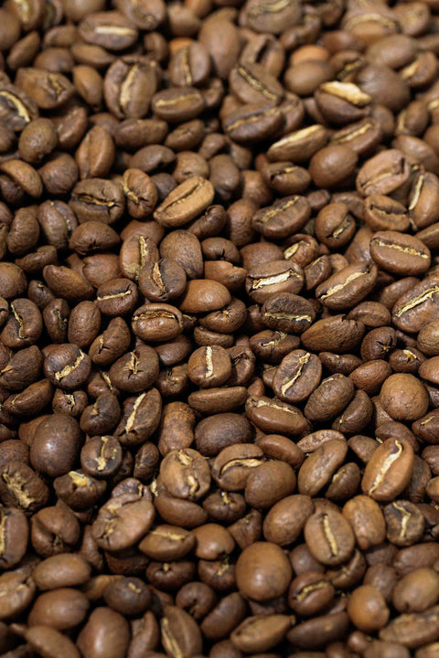 Peru - Solidario - Rothrock Coffee 